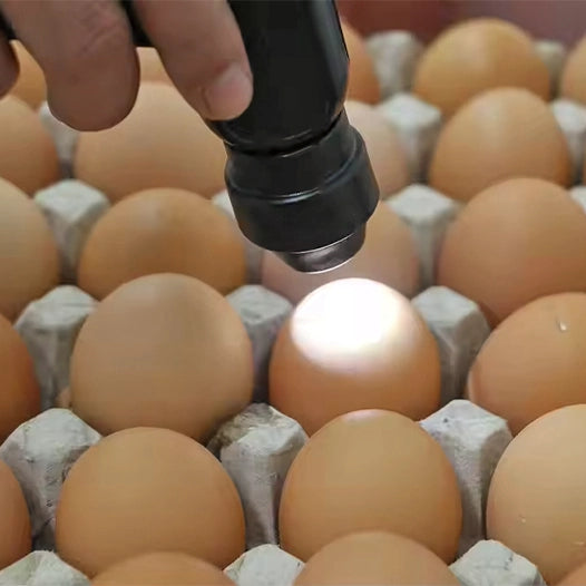 Ovoscópio recargable Galex Ergo 100 egg
