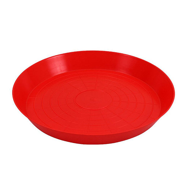 Plato para aves de 1ª edad, 40 cm - PECFARM