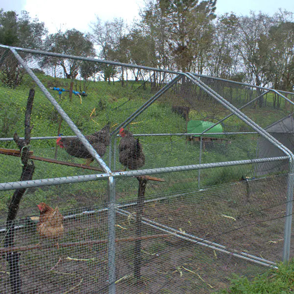 Gallinero Exterior 6x3x2m (Estructura Fuerte) + OFERTA Comedero +1 Nido 2 Departamento con recogida