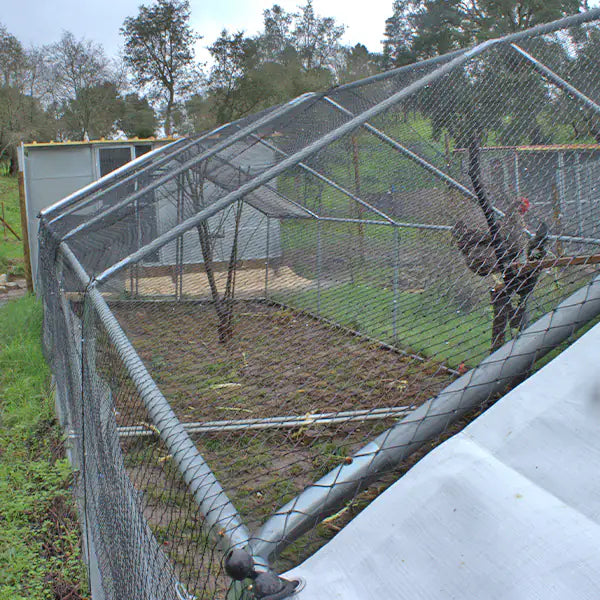 Gallinero Exterior 6x3x2m (Estructura Fuerte) + OFERTA Comedero +1 Nido 2 Departamento con recogida