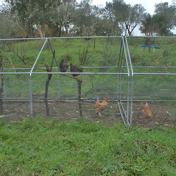 Gallinero Exterior 6x3x2m (Estructura Fuerte) + OFERTA Comedero +1 Nido 2 Departamento con recogida
