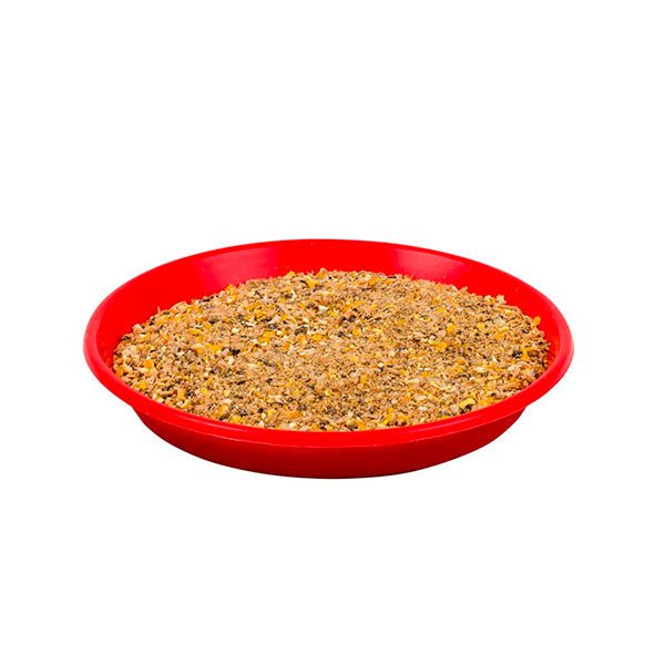 Plato para aves de 1ª edad, 20 cm